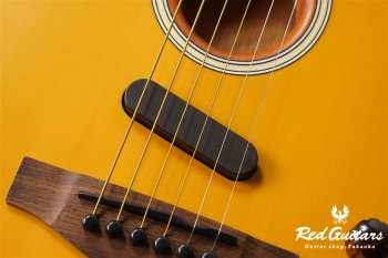 Acoustasonic Player Telecaster - Butterscotch Blonde